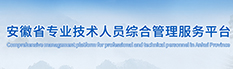 安徽省专业技术人员综合管理服务平台